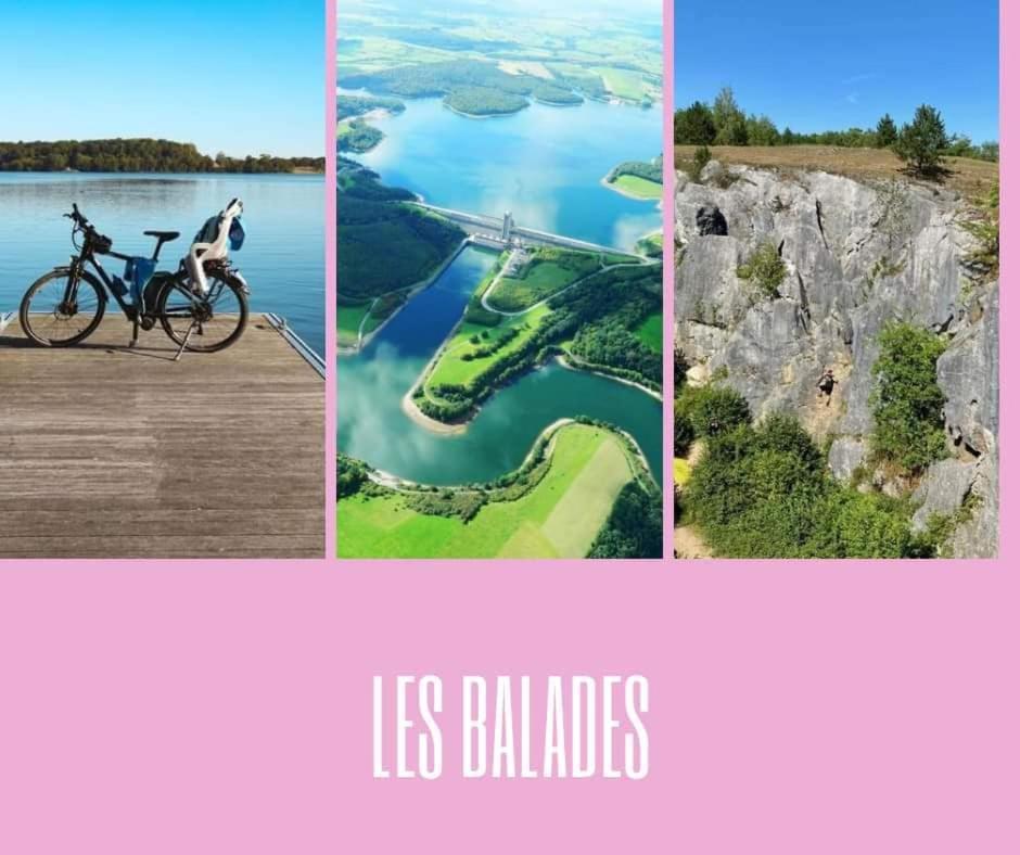Lacs De L'Eau D'Heure Chez Oma Cerfontaine Eksteriør bilde